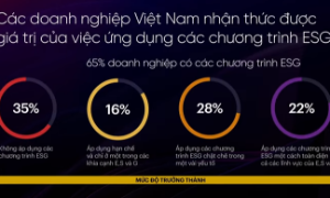 Các doanh nghiệp Việt Nam đã nhận thức được giá trị của việc ứng dụng các chương trình ESG. Nguồn: PWC 2022