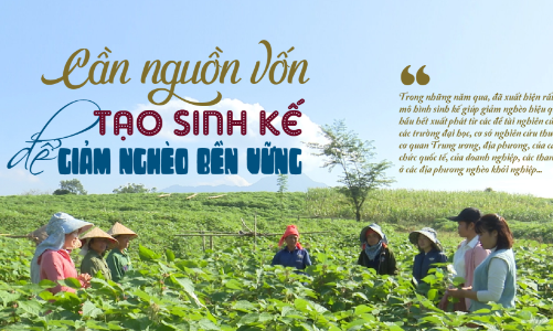 Cần nguồn vốn tạo sinh kế để giảm nghèo bền vững