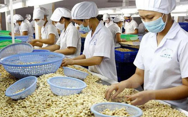 Xuất khẩu điều giảm mạnh những tháng đầu năm 2023.