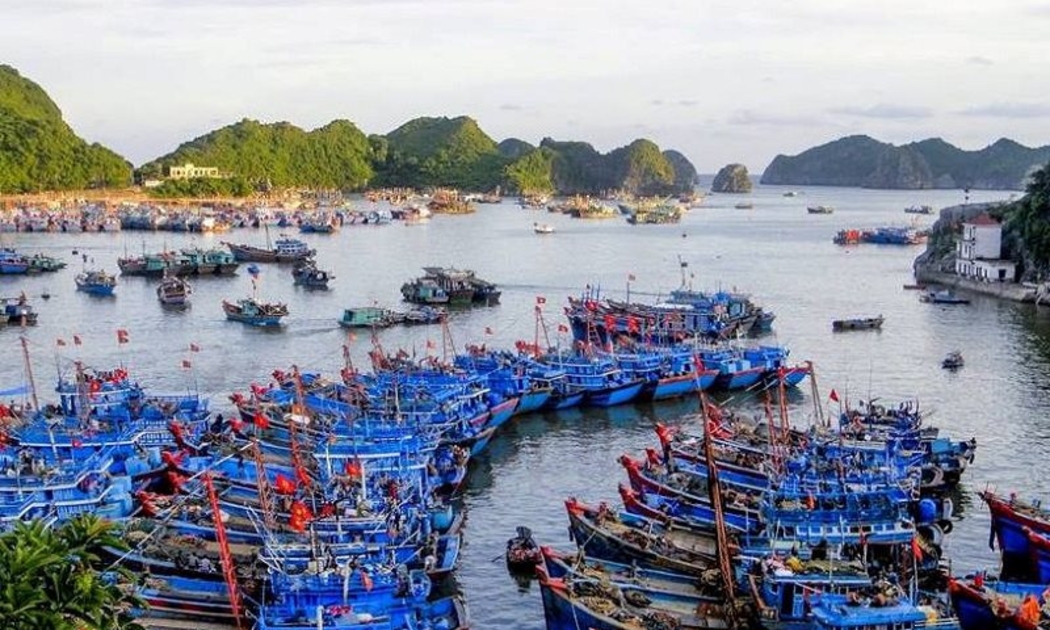 UBND tỉnh Hải Phòng được ủy quyền quản lý, bảo trì tuyến đường thủy nội địa quốc gia, đoạn từ cảng cá Cát Bà đến cửa Tùng Gấu.