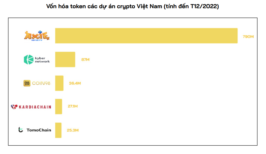 Việt Nam có hơn 16,6 triệu người sở hữu tiền mã hóa, đứng thứ hai ASEAN sau Thái Lan - Ảnh 2