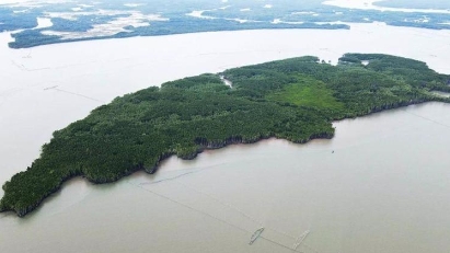 Transport ministry calls for faster planning of HCMC transit terminal