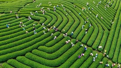 Sustainable solutions for future needs