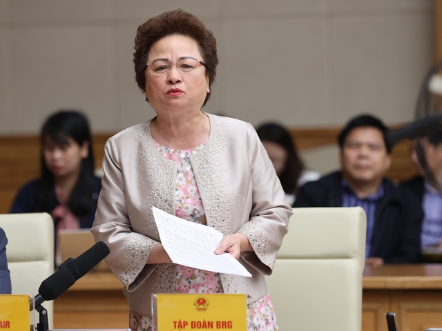 B&agrave; Nguyễn Thị Nga, Chủ tịch Hội đồng quản trị Tập đo&agrave;n BRG ph&aacute;t biểu tại hội nghị - Ảnh: VGP