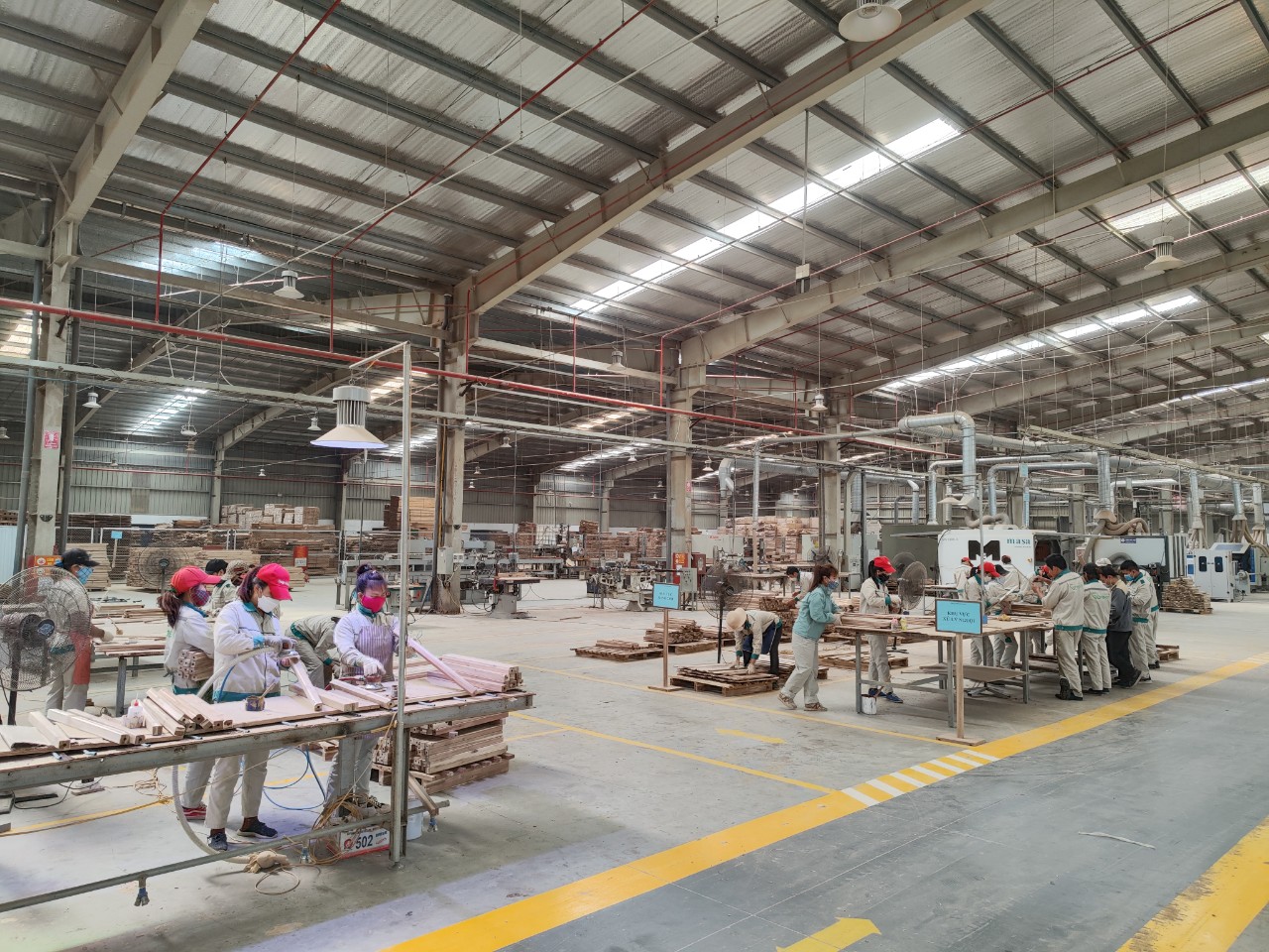 Gỗ được luyện theo công nghệ biến tính của nhà khoa học Trần Hoài Nam đang đứng trước các cơ hội phát triển lớn về mặt thị trường và được kỳ vọng giúp nâng cao giá trị cho gỗ rừng trồng của Việt Nam
