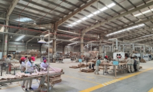 Gỗ được luyện theo công nghệ biến tính của nhà khoa học Trần Hoài Nam đang đứng trước các cơ hội phát triển lớn về mặt thị trường và được kỳ vọng giúp nâng cao giá trị cho gỗ rừng trồng của Việt Nam