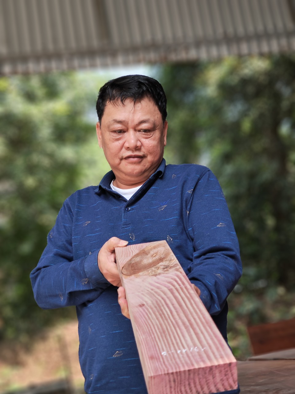 Gỗ sau khi “luyện” xong, được đặt tên là Thạch Vân và đã cải thiện hơn nhiều về cơ lý tính, có tỷ trọng, cường độ cao, có khả năng chịu uốn, chống mối mọt, chịu nước, ổn định nhiệt, chống cháy, ngăn cháy lan…