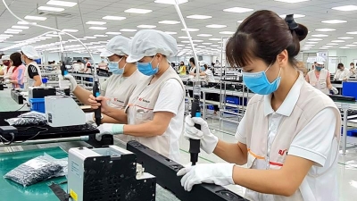 Hanoi to assess worker demand among foreign investors