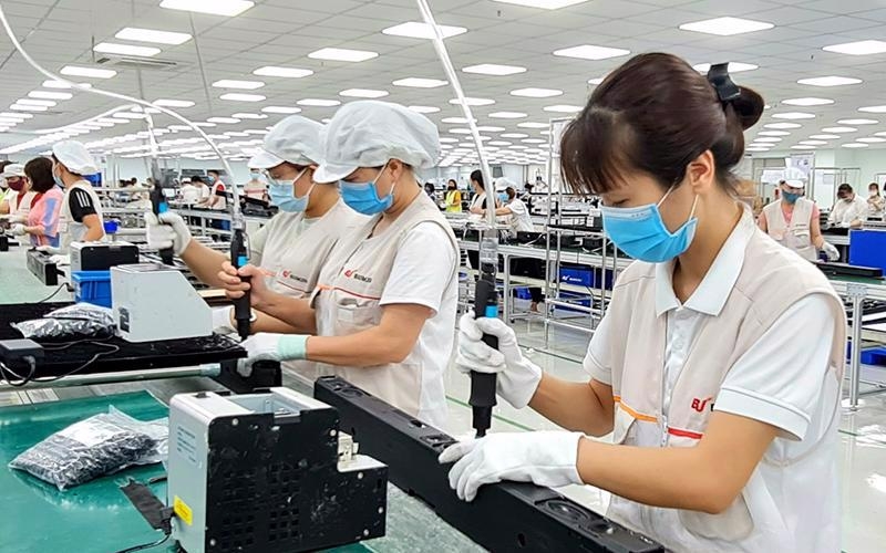 Hanoi to assess worker demand among foreign investors