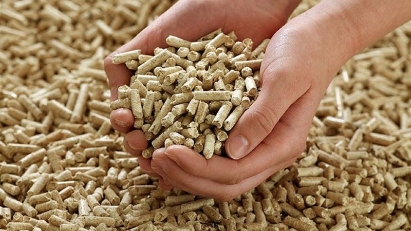 Vietnam an important wood pellet source for South Korea