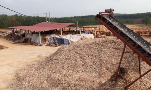 Quảng Trị “đau đầu” với các nhà máy sản xuất dăm gỗ trái phép