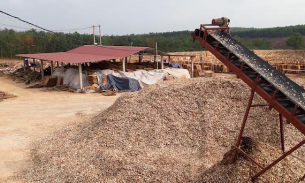 Nhiều cơ sở chế biến dăm gỗ tại Quảng Trị hoạt động nhưng chưa có quyết định đầu tư, chưa có đánh giá tác động môi trường