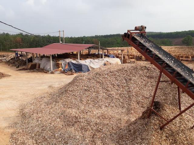Nhiều cơ sở chế biến dăm gỗ tại Quảng Trị hoạt động nhưng chưa có quyết định đầu tư, chưa có đánh giá tác động môi trường 