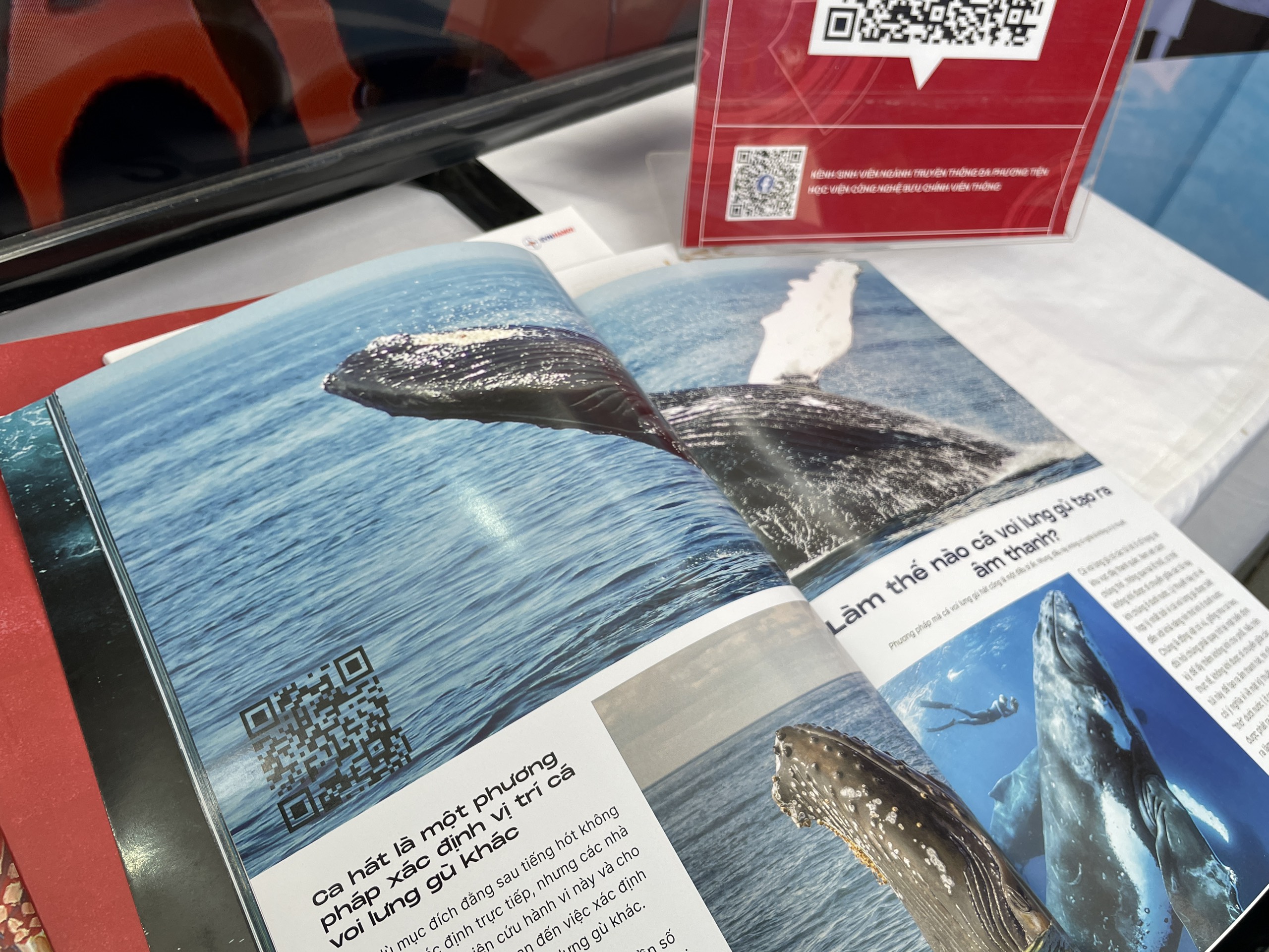 Với sản phẩm tạp ch&iacute; giấy, để tăng t&iacute;nh th&uacute; vị, sinh vi&ecirc;n đ&atilde; ứng dụng c&ocirc;ng nghệ để tạo m&atilde; QR gi&uacute;p người đọc dễ d&agrave;ng tương t&aacute;c với h&igrave;nh ảnh, &acirc;m thanh. Đặc biệt với c&aacute;c sản phẩm b&aacute;o ch&iacute; dữ liệu cũng được ứng dụng c&ocirc;ng nghệ để tạo ra inforgraphic gi&uacute;p th&ocirc;ng tin được tr&igrave;nh b&agrave;y một c&aacute;ch cụ thể, logic.