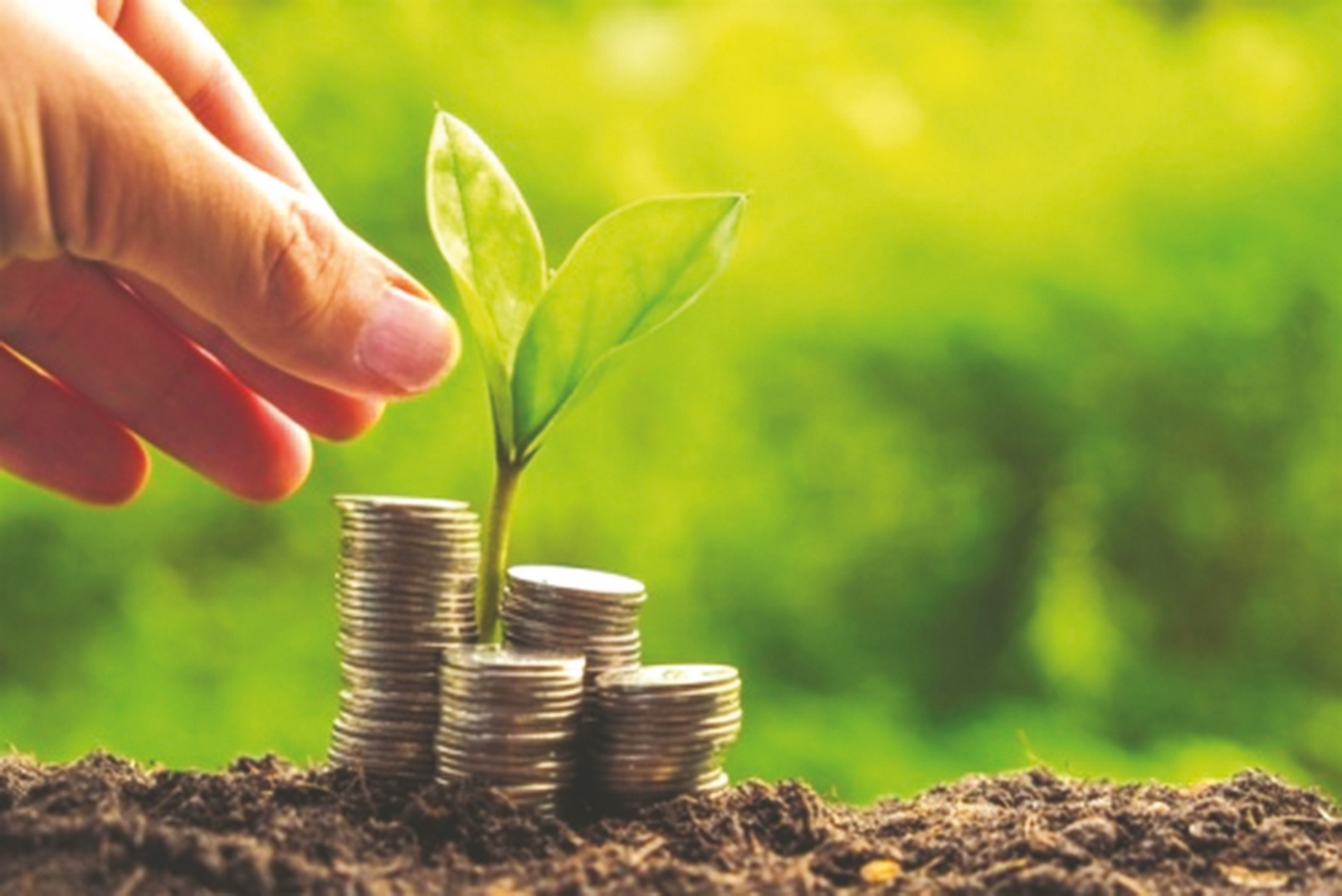 Việt Nam cần nguồn lực tài chính không hề nhỏ để tạo ra bước chuyển đổi rõ rệt và hướng đến mục tiêu "xanh hoá".