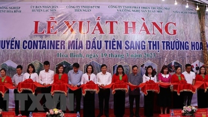 Hoa Binh exports first batch of sugarcane to US