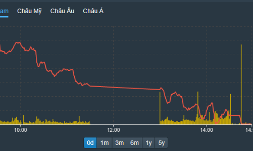 Nội ngoại cùng bán tháo, VN-Index bốc hơi 2,11%, ngưỡng 1.000 điểm gần kề
