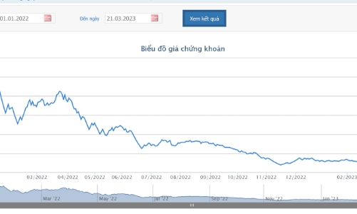 Phó Chủ tịch DIG mua thành công 5 triệu cổ phiếu
