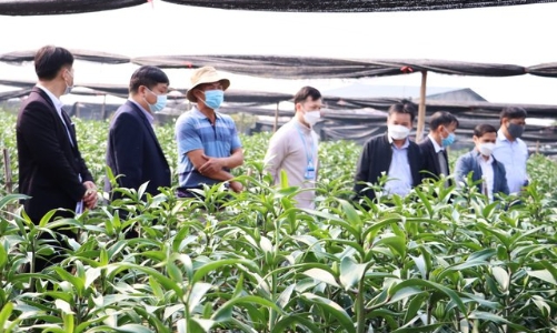 Mở rộng tín dụng ngân hàng phát triển kinh tế tập thể