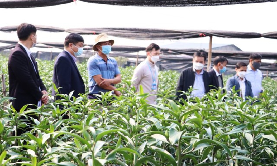 Các ngân hàng vẫn e dè giải ngân cho hợp tác xã (Ảnh: VGP/Thiện Tâm).