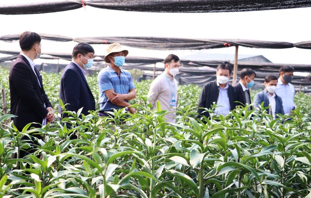 Các ngân hàng vẫn e dè giải ngân cho hợp tác xã (Ảnh: VGP/Thiện Tâm).