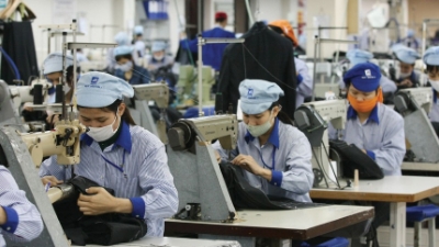 Nhân lực - Việc làm