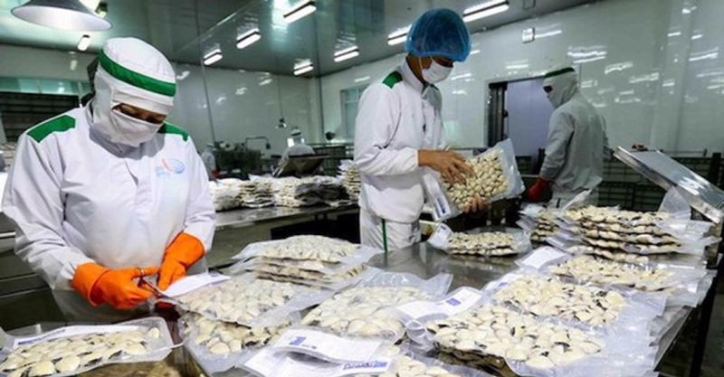 Clam exports see impressive results in 2022