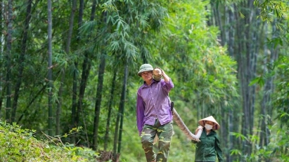 EU-funded project helping improve clam and bamboo value chains