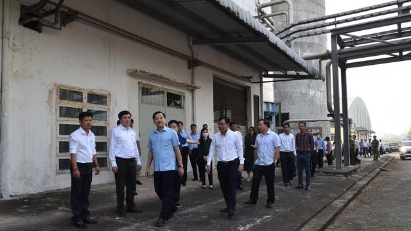 Loss-making pulp project may come to a halt