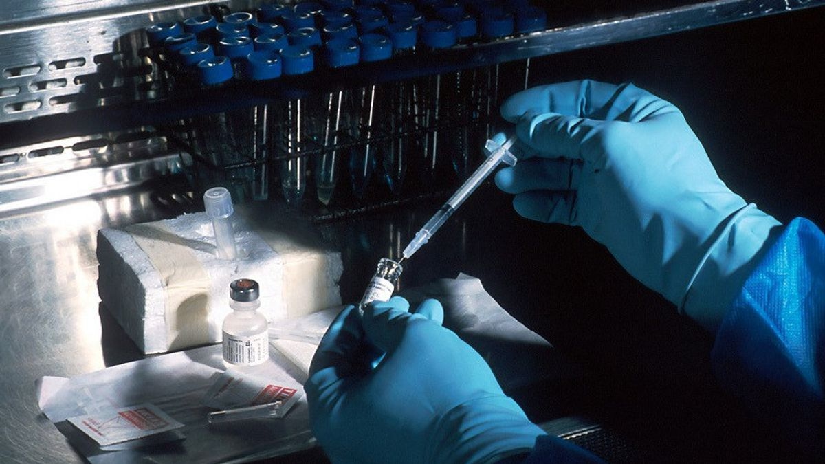 Hiện tại vẫn chưa có vaccine để dự phòng và thuốc điều trị đặc hiệu virus Marburg.