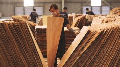 US extends duty evasion probe into plywood from Vietnam