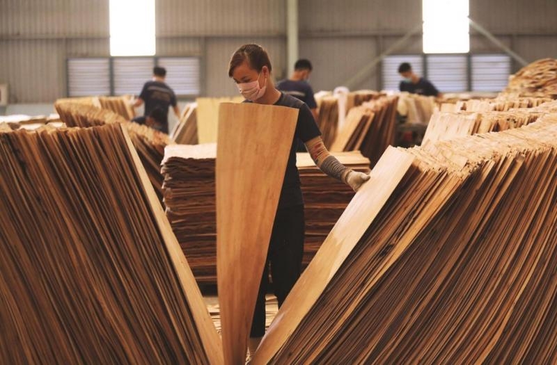 US extends duty evasion probe into plywood from Vietnam
