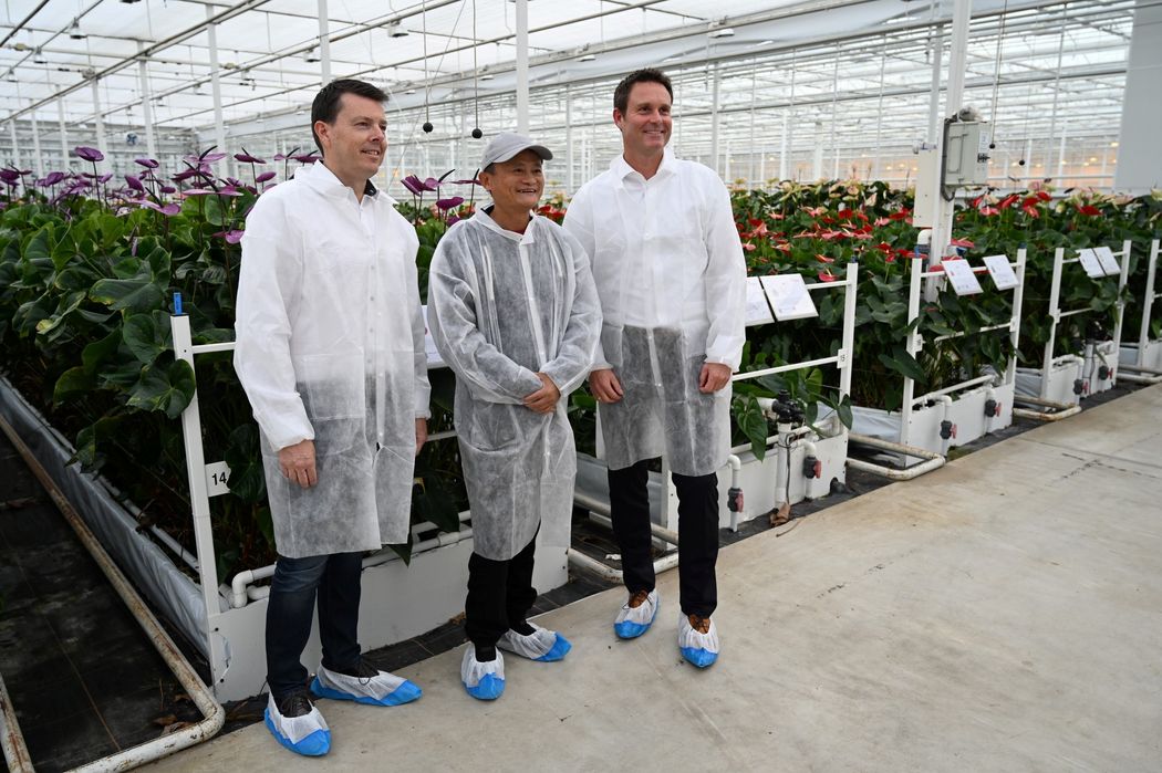 Ông Jack Ma ghé thăm một trang trại trồng hoa ở Bleiswijk, Hà Lan vào năm 2021 - Ảnh: Reuters