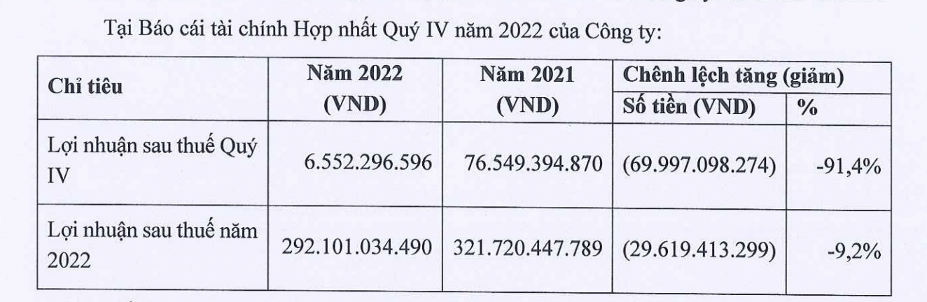 Kết quả kinh doanh của BAF. 