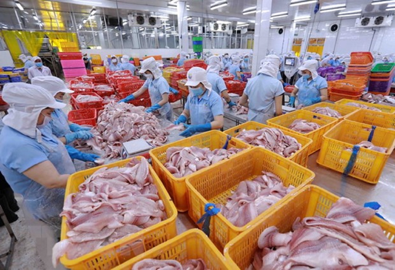 Xuất khẩu thủy sản tháng 3/2023 giảm tới 29% so với cùng kỳ.