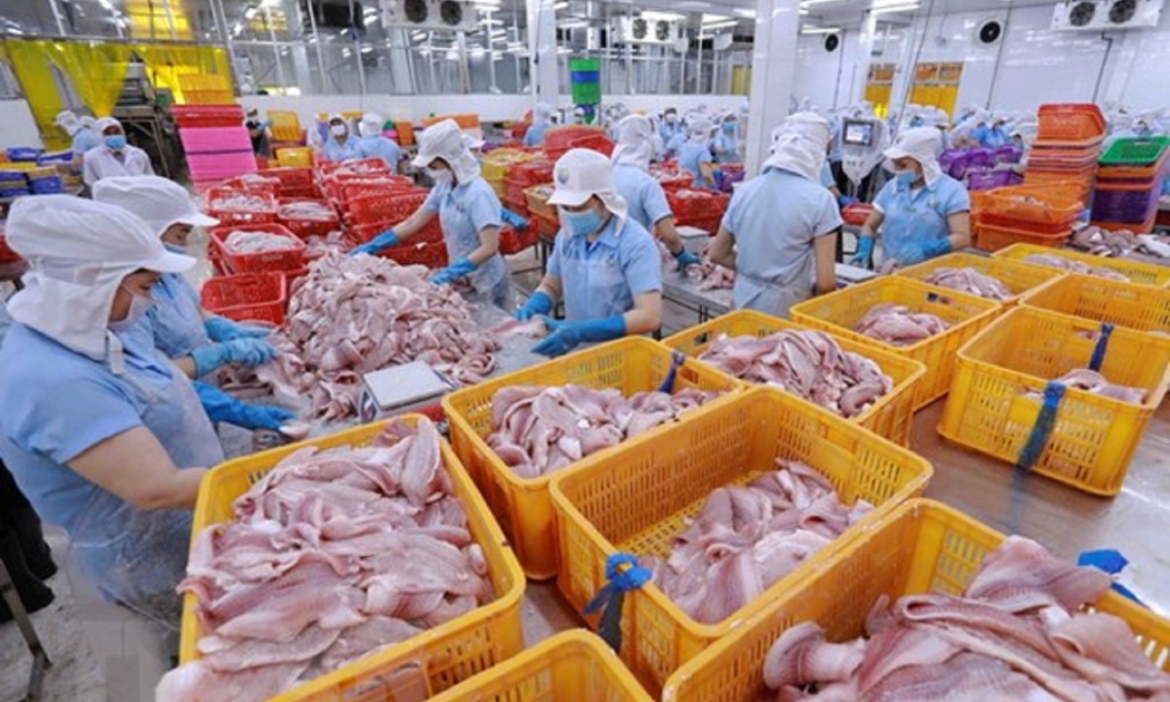 Xuất khẩu thủy sản tháng 3/2023 giảm tới 29% so với cùng kỳ.