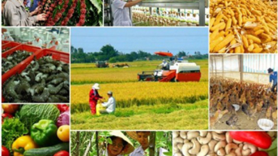 Agricultural exports see positive first quarter