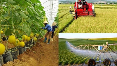 Over 3mln farming households gain access to credit