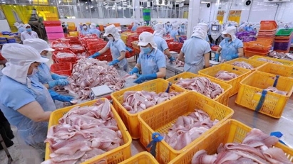 Agro-forestry-fishery exports down 14.4%