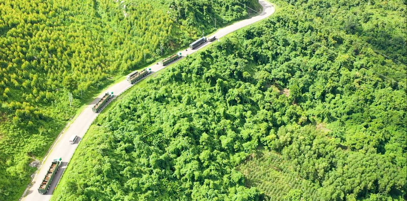 Vận chuyển gia s&uacute;c từ cảng Quy Nhơn (B&igrave;nh Định) đến trang trại Ia Puch (Gia Lai) theo tuyến Quốc lộ 19.