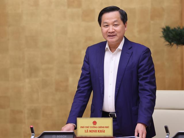 Ph&oacute; Thủ tướng L&ecirc; Minh Kh&aacute;i ph&aacute;t biểu tại hội nghị - Ảnh: VGP