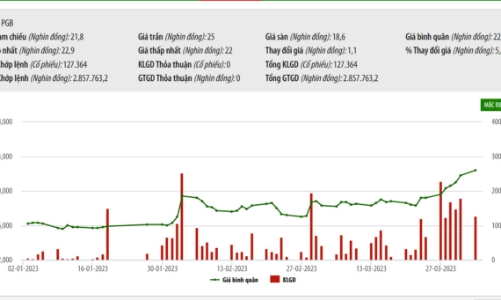Ngày 7/4 tới, Petrolimex chính thức đấu giá công khai 120 triệu cổ phiếu PG Bank 