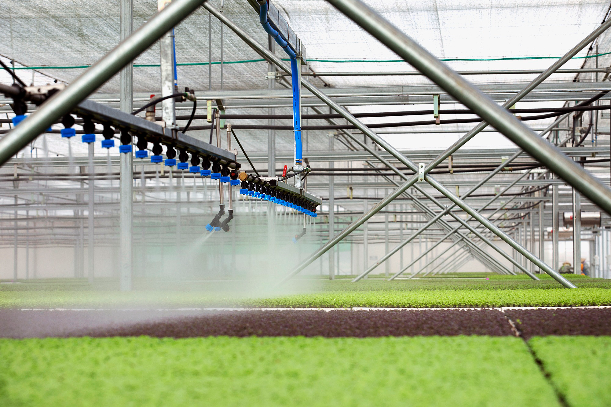 Còn nhiều thách thức ứng dụng trí tuệ nhân tạo vào nông nghiệp.