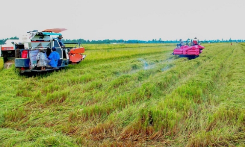 Hiện thực hóa giấc mơ nông nghiệp đại điền