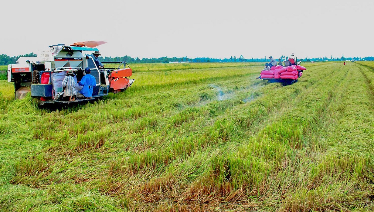 Rào cản lớn nhất đối với tích tụ đất nông nghiệp để sản xuất theo mô hình đại điền chính là Luật đất đai còn có nhiều điểm chưa phù hợp.