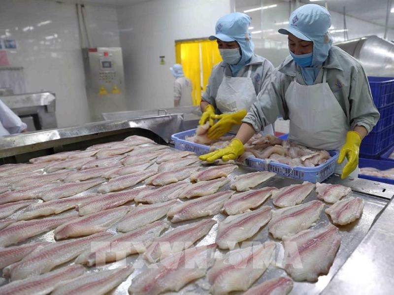 Q1 seafood exports down 27%