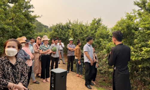 Đưa nông dân Sơn La đến gần hơn với thương mại điện tử