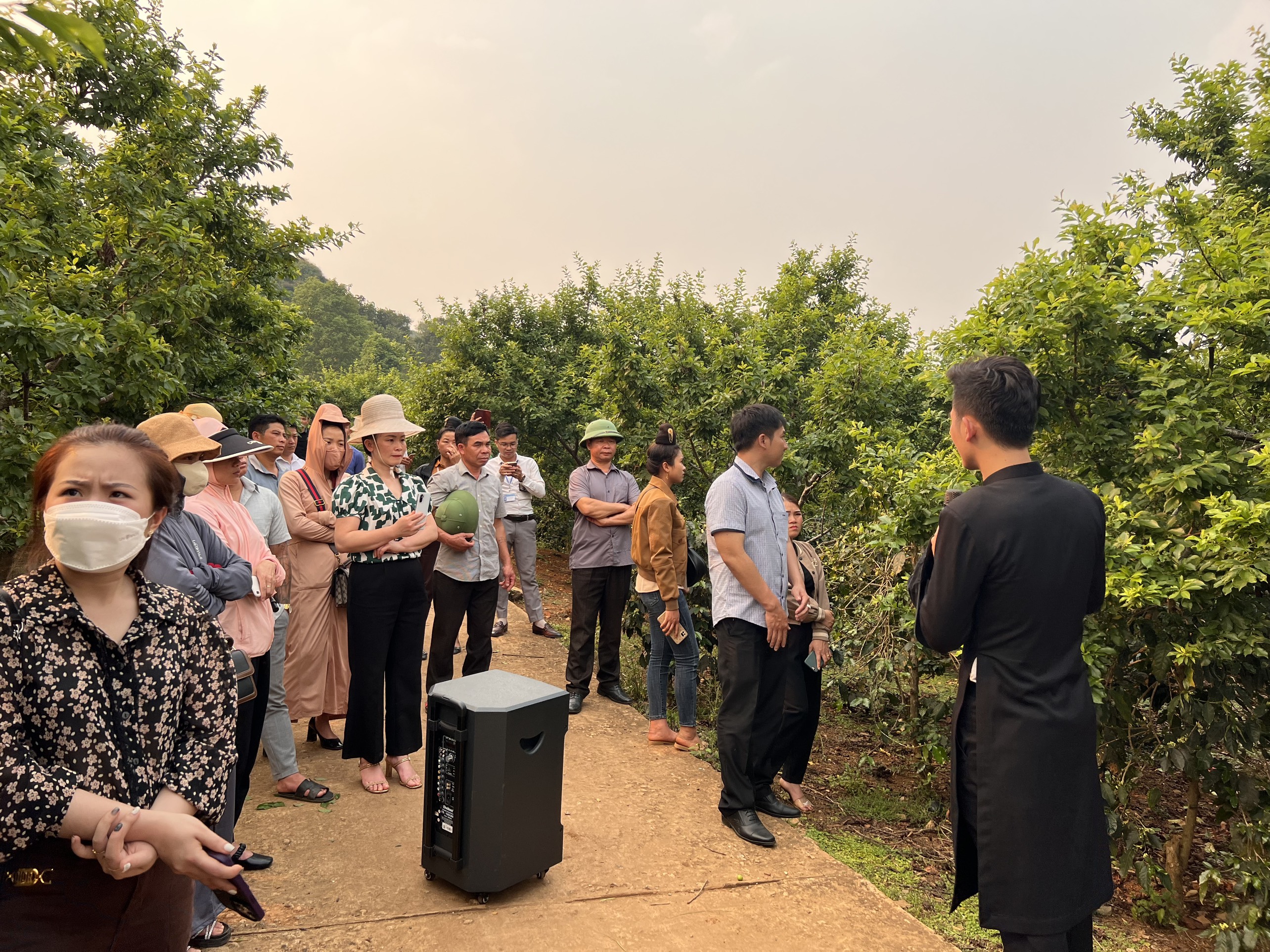 Tập huấn cho bà con ngay tại vườn ruộng.