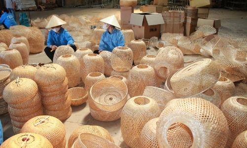 Hàng nghìn nông dân thoát nghèo nhờ cây lùng