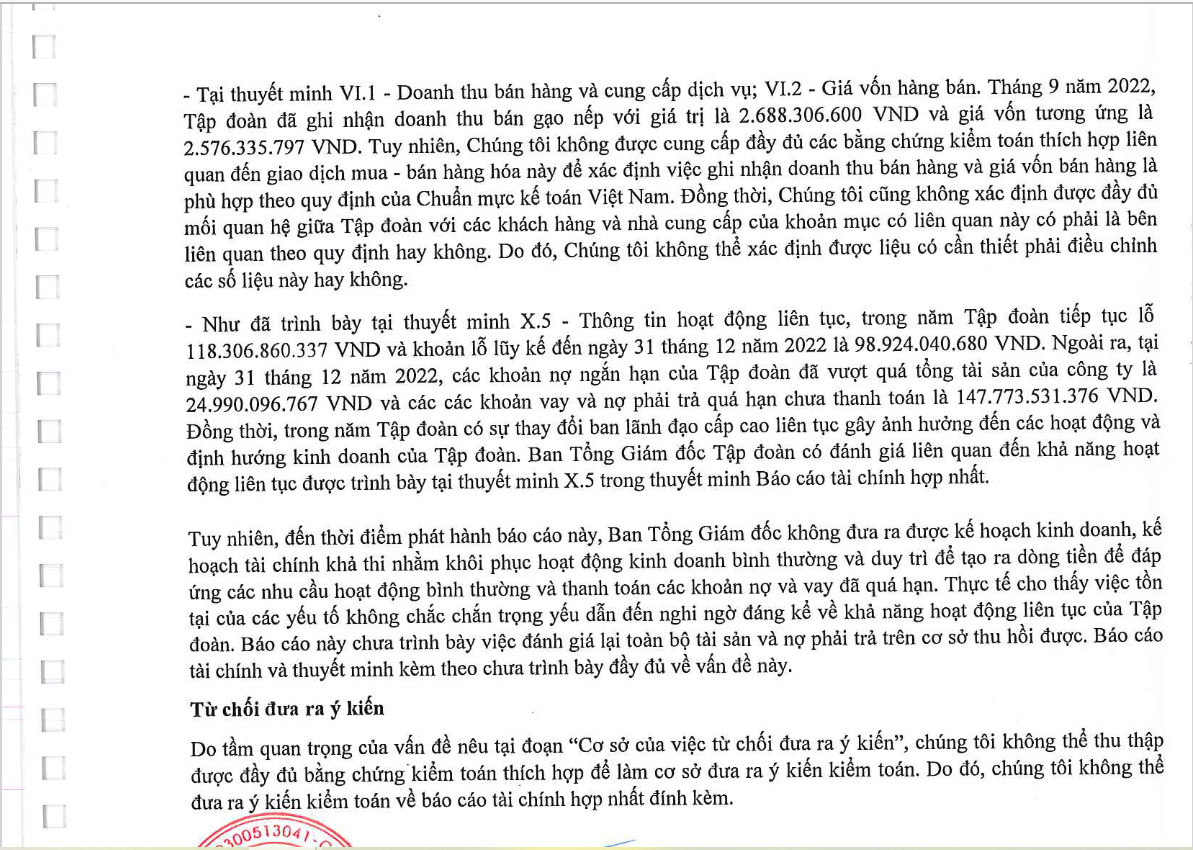 BCTC năm 2022 đ&atilde; kiểm to&aacute;n của BII.